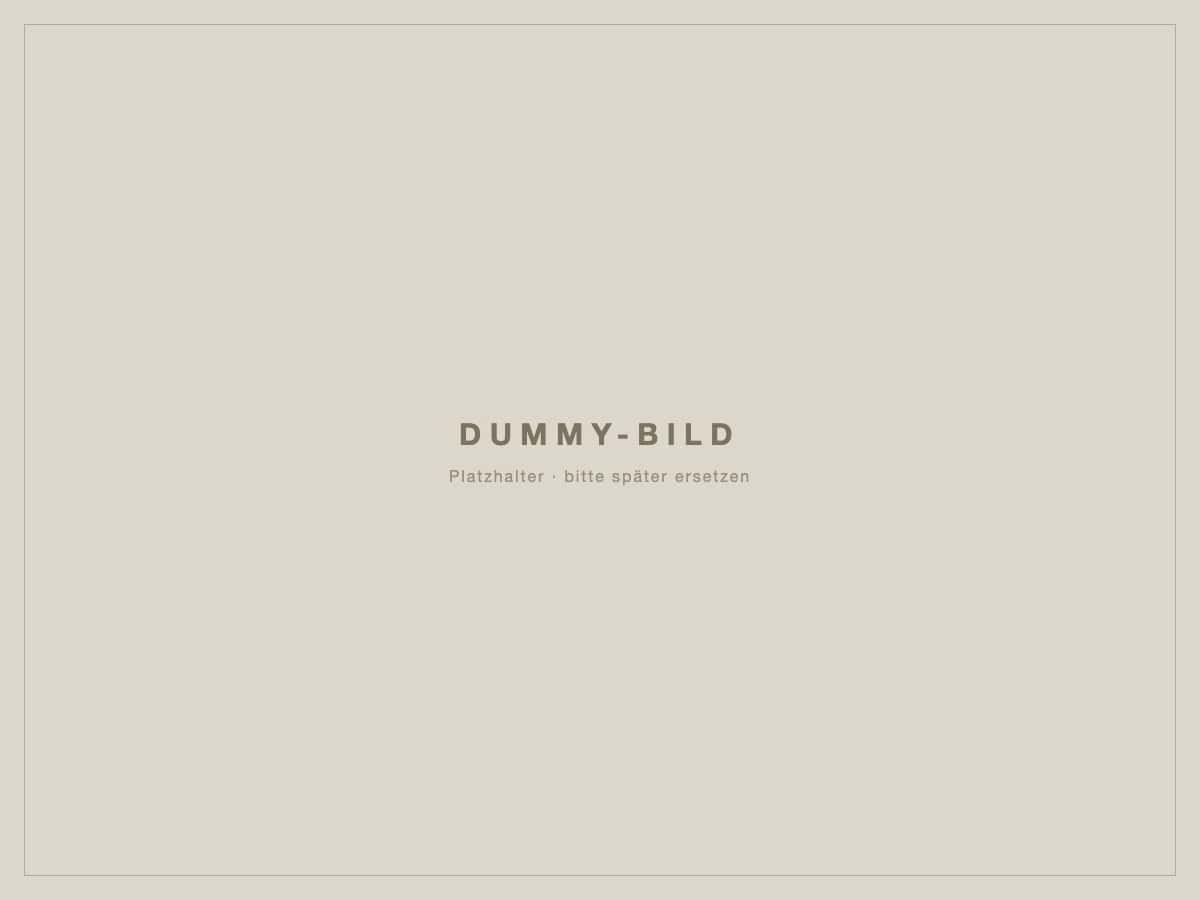 ibx Beratung im Gespräch